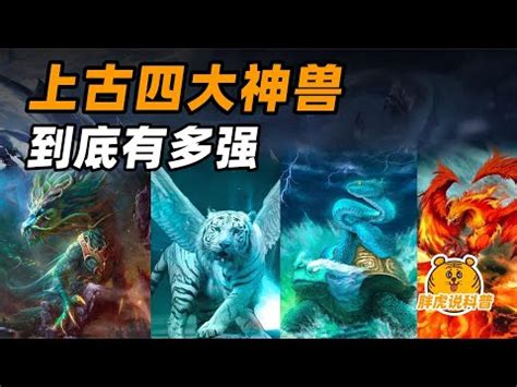 五行 神獸|靈獸